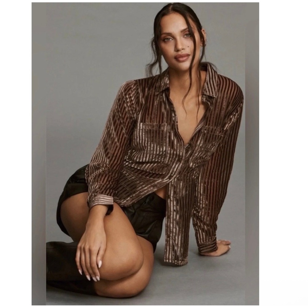 Anthropologie Pilcro Velvet Sheer Burnout Stripe Blouse Brown XS
